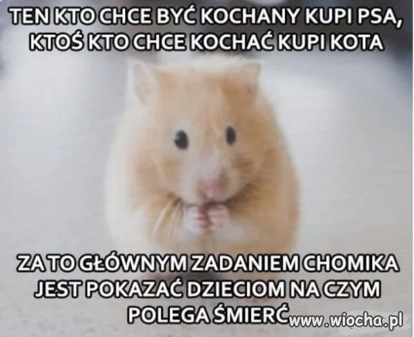 Cała prawda