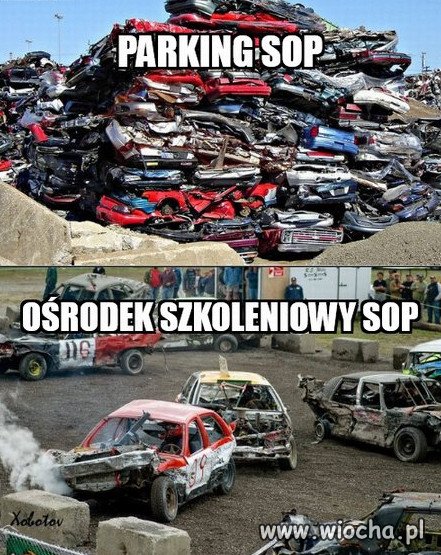 Służba Ochrony Państwa