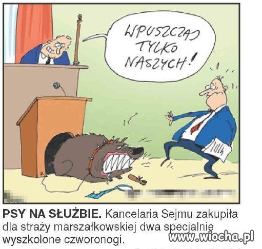Kancelaria Sejmu kupiła dwa specjalnie przeszkolone psy.