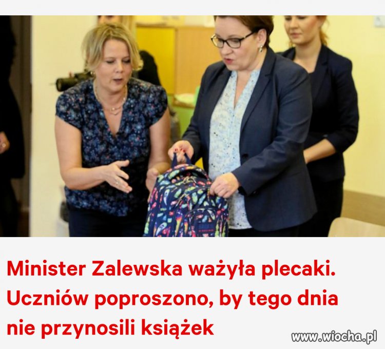 Bareja wiecznie żywy.