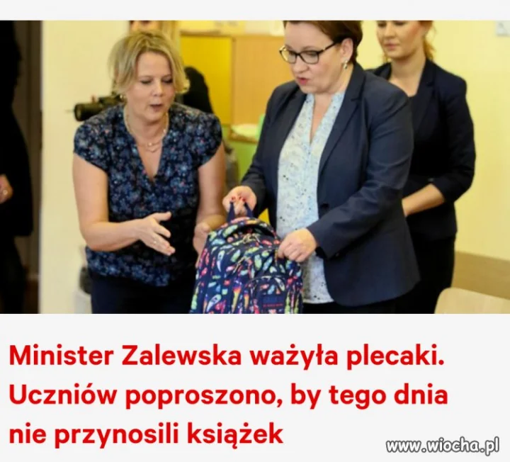 Bareja wiecznie żywy.