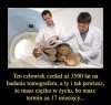 Śmiać się czy płakać...