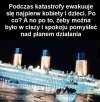 Nic dodać,