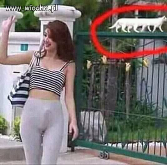 Co to za