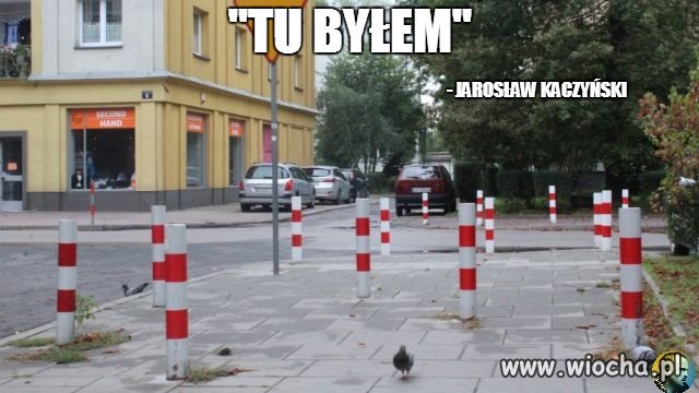 Robota prezesa