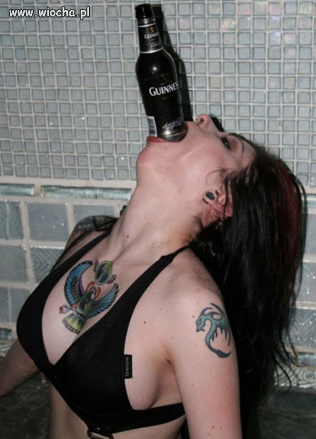 Rekord Guinnessa 