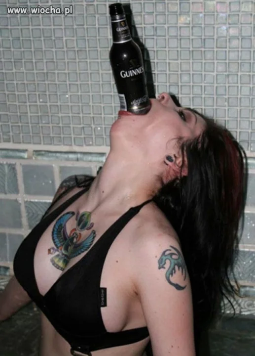 Rekord Guinnessa 