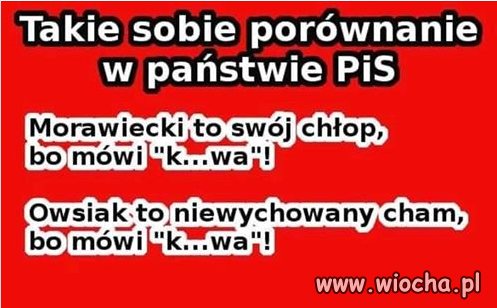 Nawet ku*wy pis