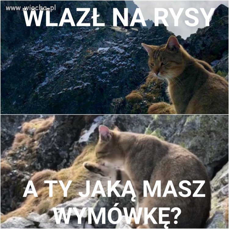 Taka sytuacja na szczycie