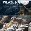 Taka sytuacja na szczycie