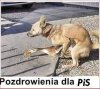 Nic dodać