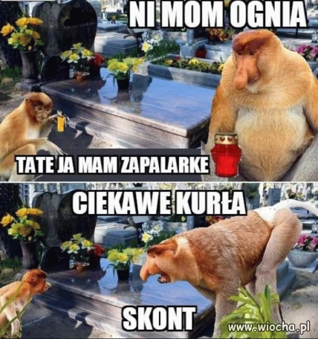 Wiadomo