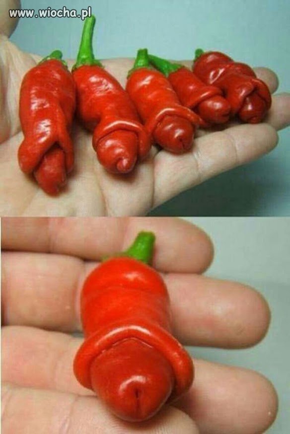 Tak tak...