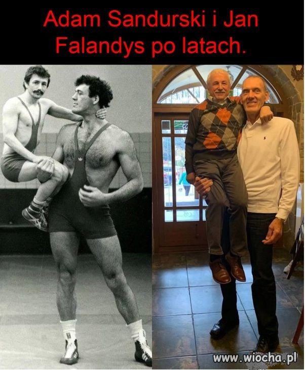 Prawdziwi mistrzowie,