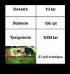 Nowoczesne