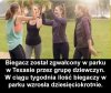 Dobra promocja