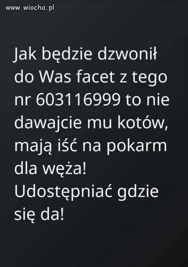 Coś podobnego !