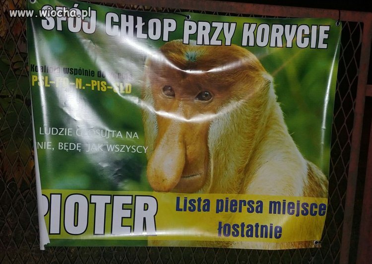 Czas wyborów