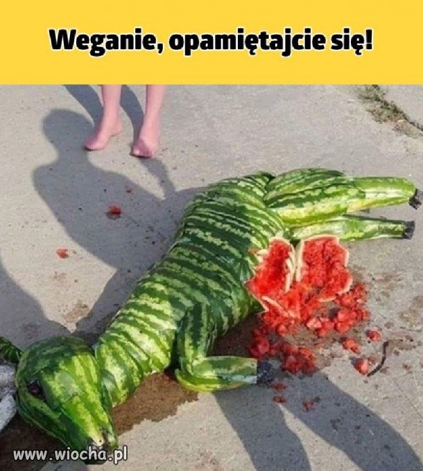 Pomysłowość wegana.