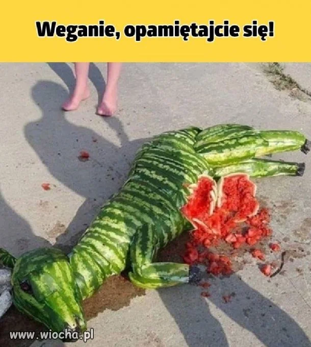 Pomysłowość wegana.