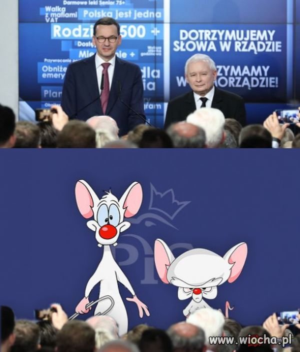 Tak to widzę