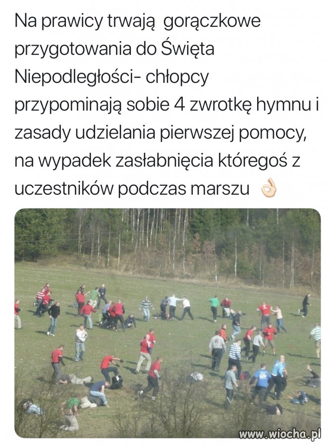 Z cyklu treningi 