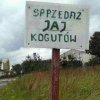 Interpunkcja jednak