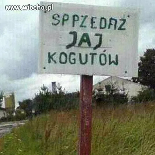 Interpunkcja jednak
