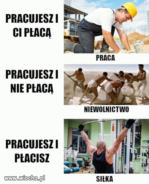 W sumie racja