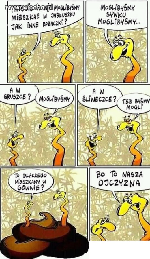 Skąd My