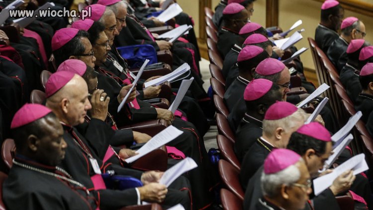 Ustalenia Synodu w sprawie...