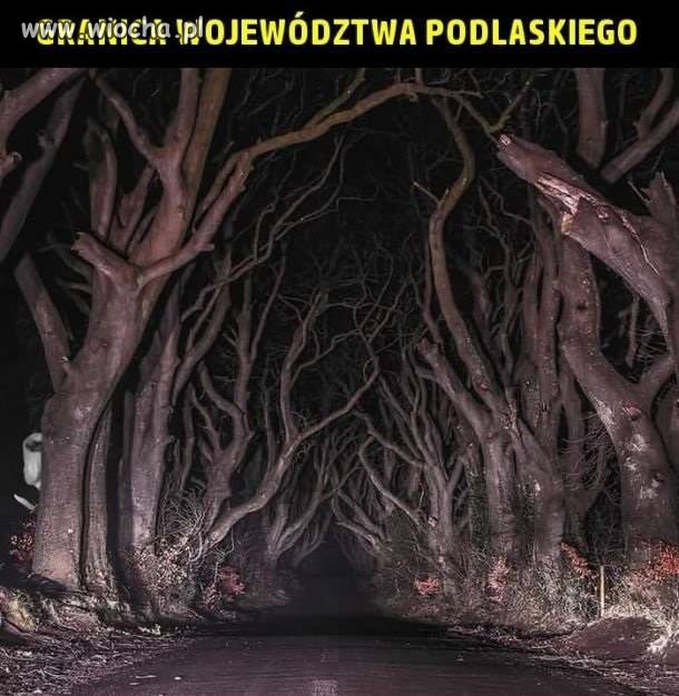 Granica Województwa Podlaskiego