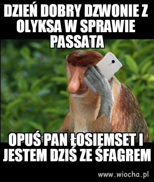 Przekaz dnia