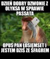 Przekaz dnia