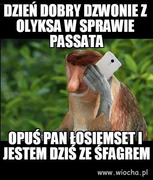 Przekaz dnia