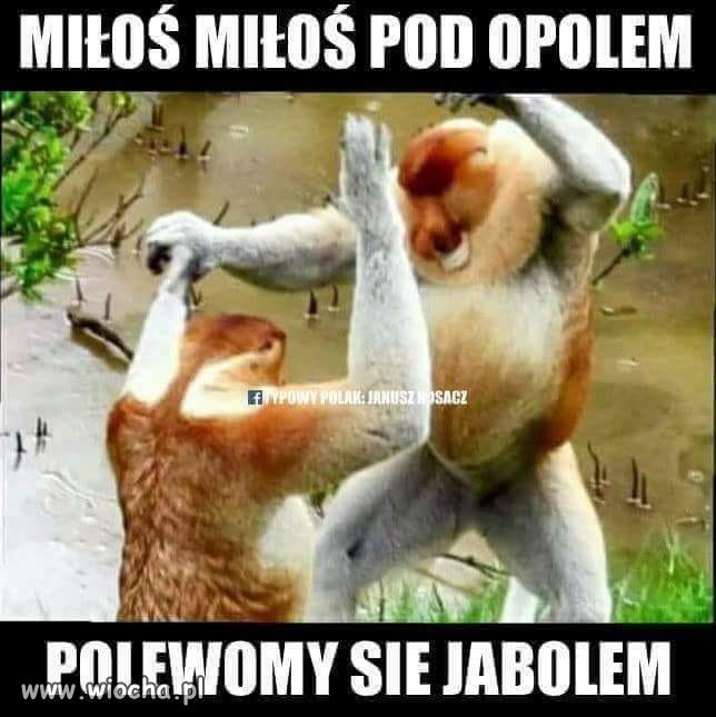 W Opolu jednak cieszą się z przegranej