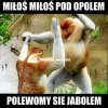 W Opolu jednak cieszą się z przegranej