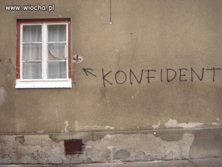 Zgadnij kto tu