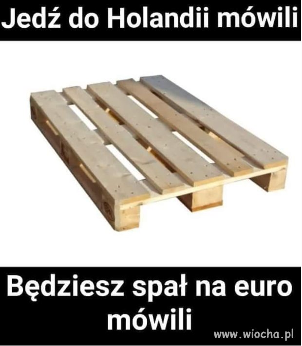 Saksy czy survival ?