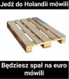 Saksy czy survival ?
