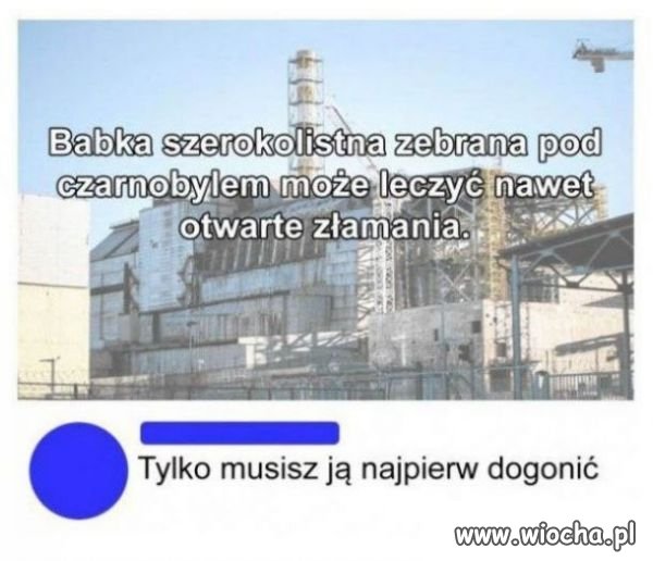 Heheszki