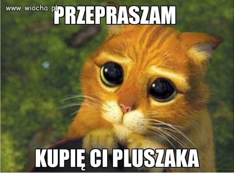 Prezydenckie przeprosiny...