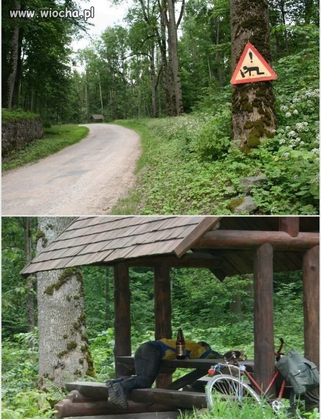 Znaki muszą być przestrzegane.