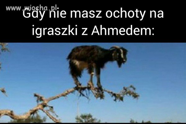 Miało być fajnie