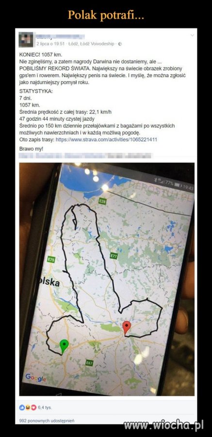 Polak potrafi