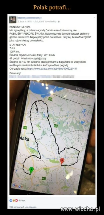Polak potrafi
