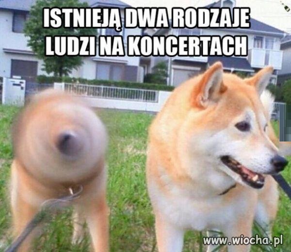 Dwa rodzaje ludzi