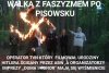 PiS jak zwykle wbrew logice na opak