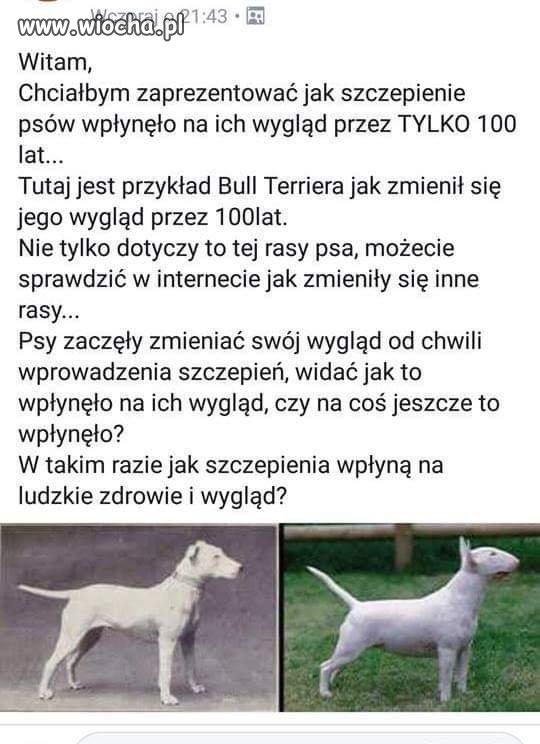 Ludzka głupota - studnia bez dna.