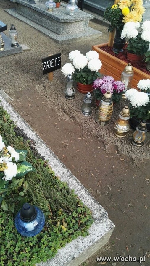 Zajęte